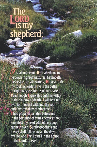The Lord is My Shepherd: Funeral Bulletin: Quantity per package: 100