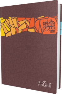 Spark Bible (NRSV) Gift Edition