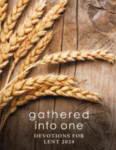 Gathered into One eBook: Devotions for Lent 2024