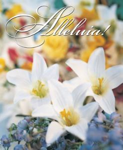 Alleluia!: Easter Bulletin, Large Size: Quantity per package: 100