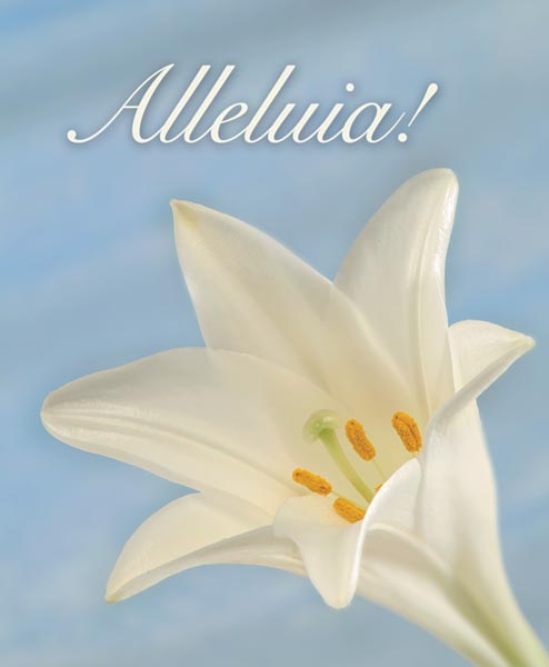 Alleluia!: Easter Bulletin, Large Size: Quantity per package: 100