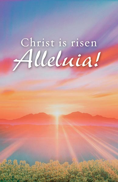 Christ is Risen Alleluia!: Easter Bulletin, Regular Size: Quantity per package: 100