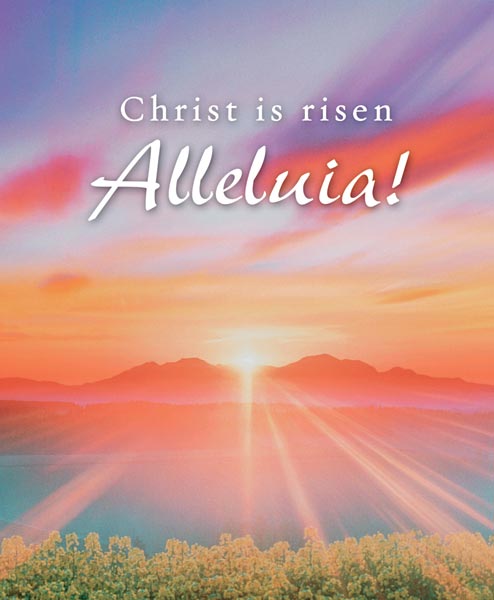 Christ is Risen Alleluia!: Easter Bulletin, Large Size: Quantity per package: 100